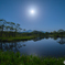 Blue moonlit night