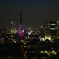 東京タワーの夜景