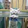 ディズニーシー ショー