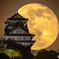 １６夜の月と岐阜城②