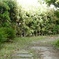 春の公園にて