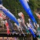 杖立温泉 鯉のぼり祭り