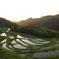 千葉県の棚田_Chiba prefecture rice terraces