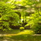 緑の九年庵