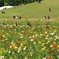 森林公園（埼玉県）