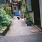 猫の日常。