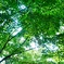 碧玉の天（そら）