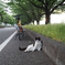 やる気の欠片もありません