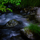 Healing forest