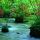 新緑の渓流 II