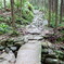 熊野古道　馬越峠