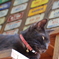 看板ねこ
