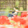 花の向こう