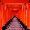 朱の道