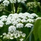 IMG_20160602_150847