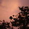 夕暮れ