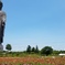 牛久大仏が…。