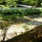 貴船の川