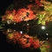 なばなの里　秋の夜の鏡池　