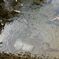 DSCN0427