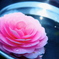 花水2