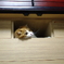 お気に入りの場所