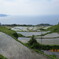 東後畑棚田
