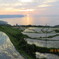 夕日