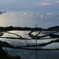 漁火