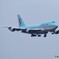 京浜島つばさ公園より撮影  羽田空港へ着陸﻿  (1)