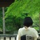 新緑撮影