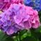 gradation