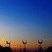 夕焼け