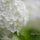 Shape Of My Heart