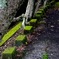 苔のイス