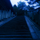 夜