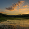 田舎風景