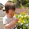 花と君