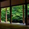 Enjoy the silence