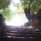 P5020099