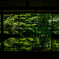 瑠璃光院