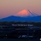 『 朝陽と富士山 』