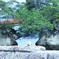 ポチくんと松島散歩①