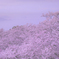 紫雲出山