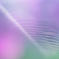 Silky web