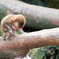 ANIMAL PHOTO4