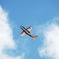 flight