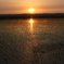 夕焼け