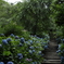 blue . . . . . .