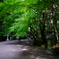香取神宮参道